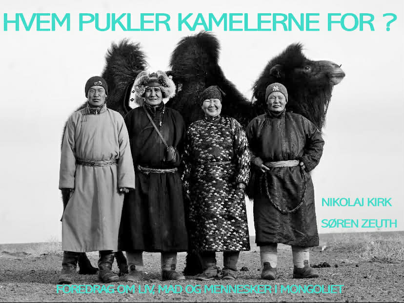 Hvem pukler kamelerne for?